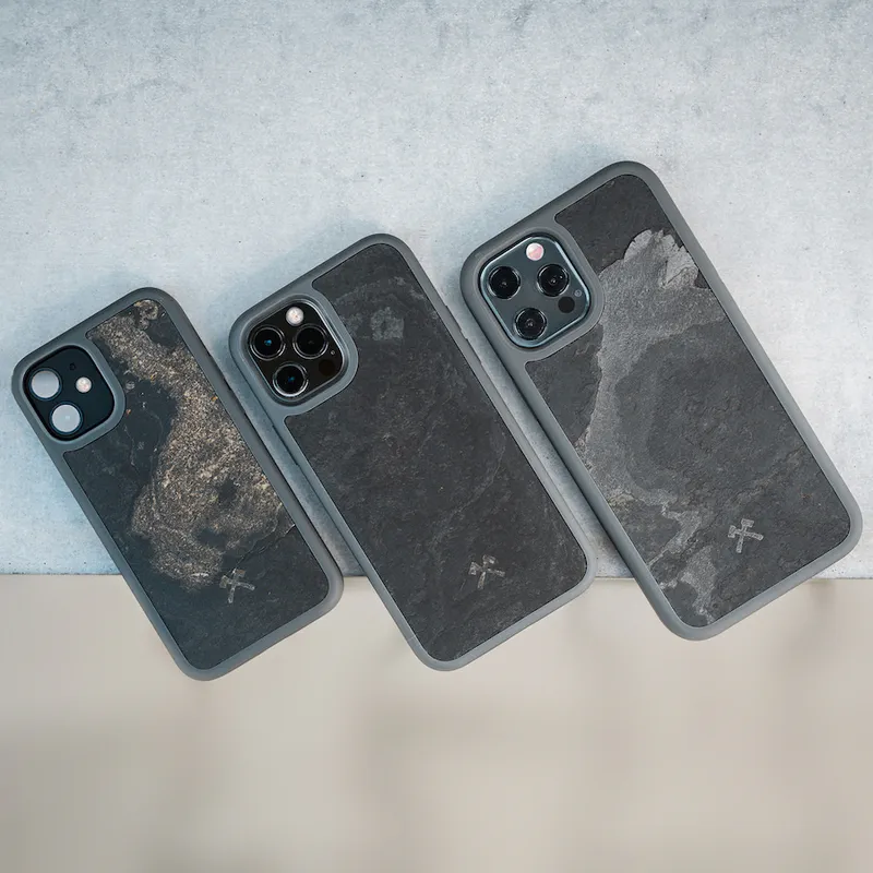 Étui iPhone 12 Pro Max Pierre