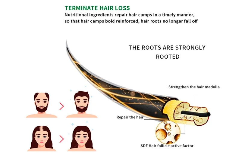 DISAAR HAIR OFFRE SPECIAL