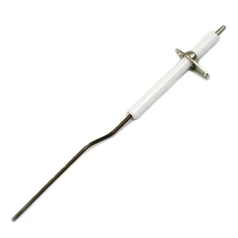 Électrode d'ionisation BG2000 S25-100 – 537DX010 (53437009)