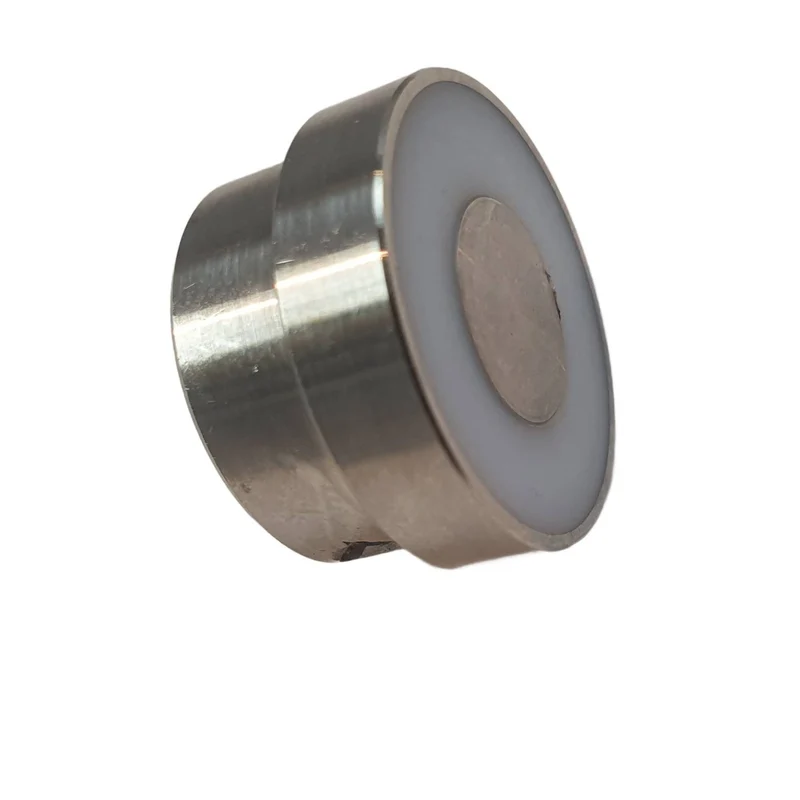 Piston avec Joint PTFE pour 2' SS316 PGK50-S
