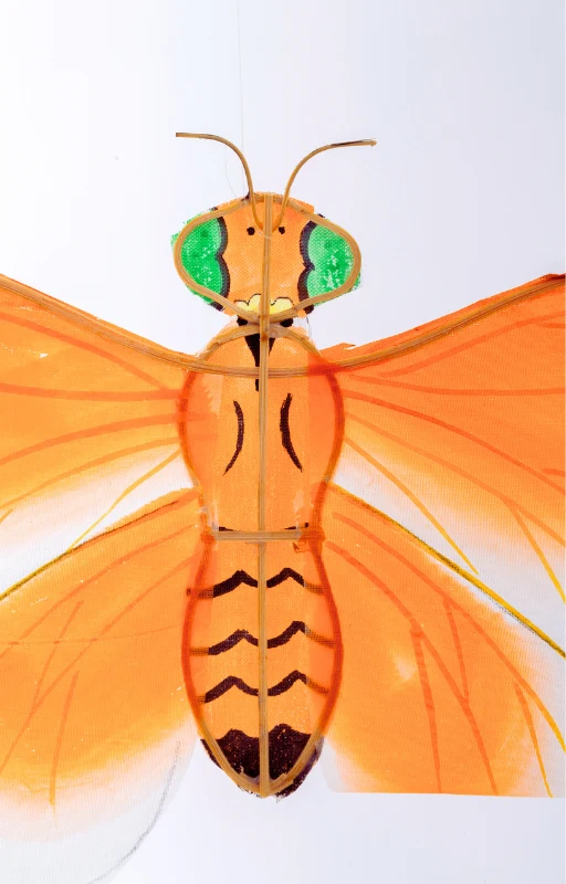 Mobile Bambou Insectes et Fleurs
