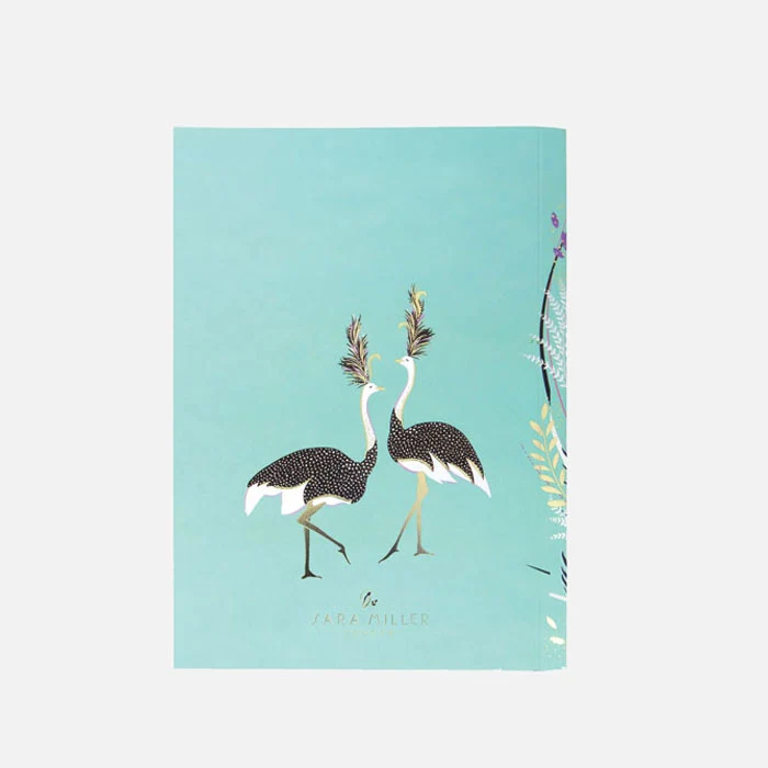 Dancing Ostrich B6 Journal