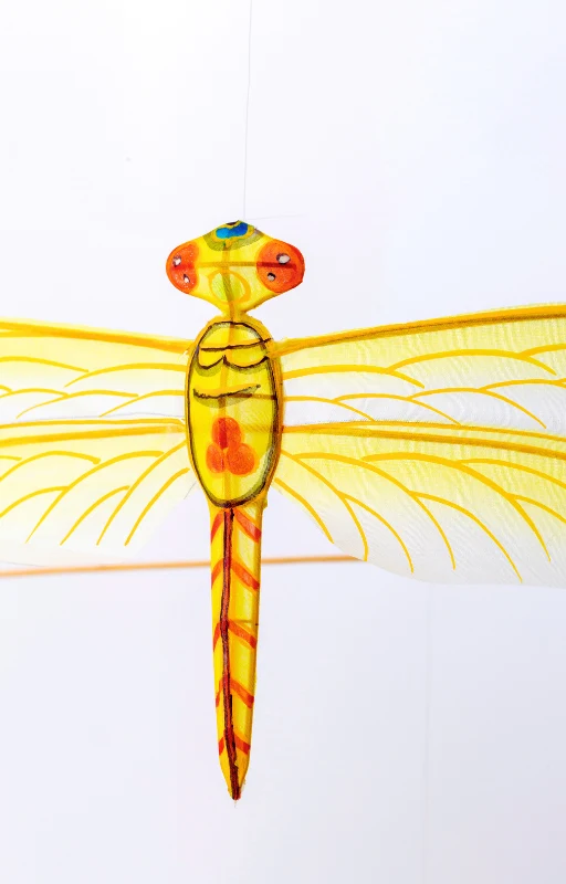 Mobile Bambou Insectes