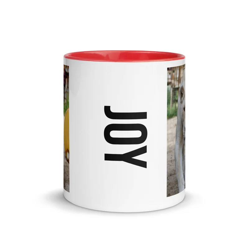 Joy - Mug