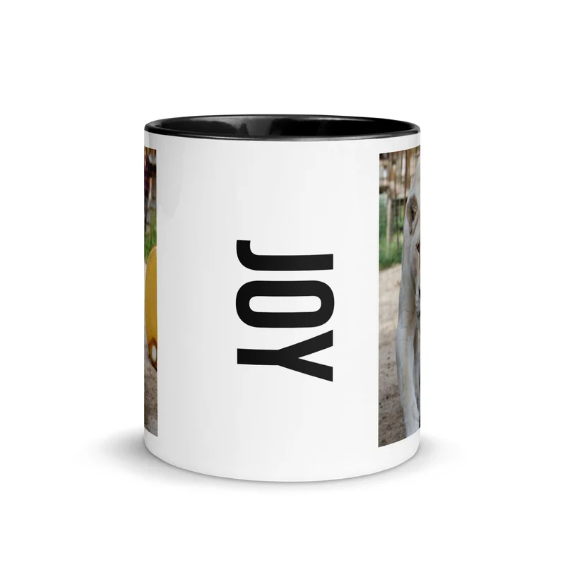 Joy - Mug