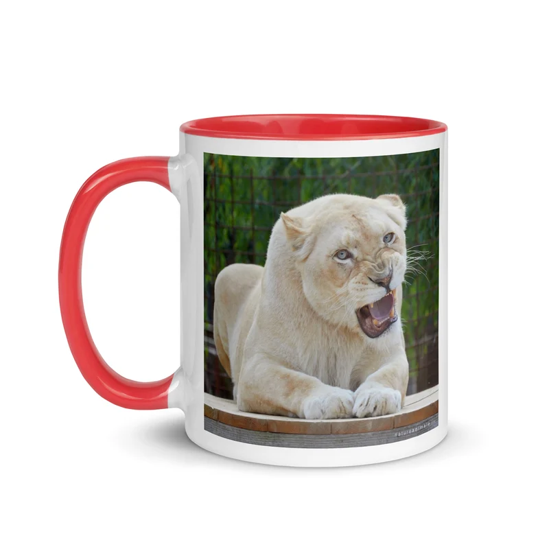 Kassanga - Mug