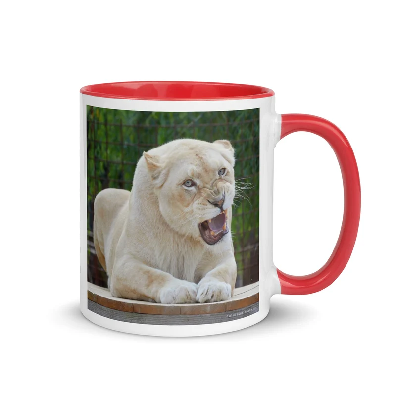 Kassanga - Mug