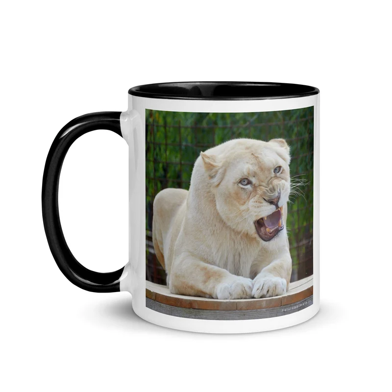 Kassanga - Mug