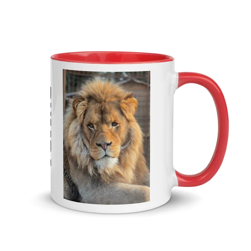 Rumba - Mug