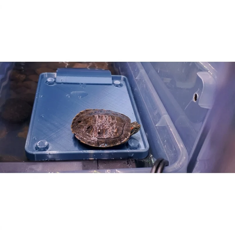 Plateforme solaire réglable avec rampe pour aquarium