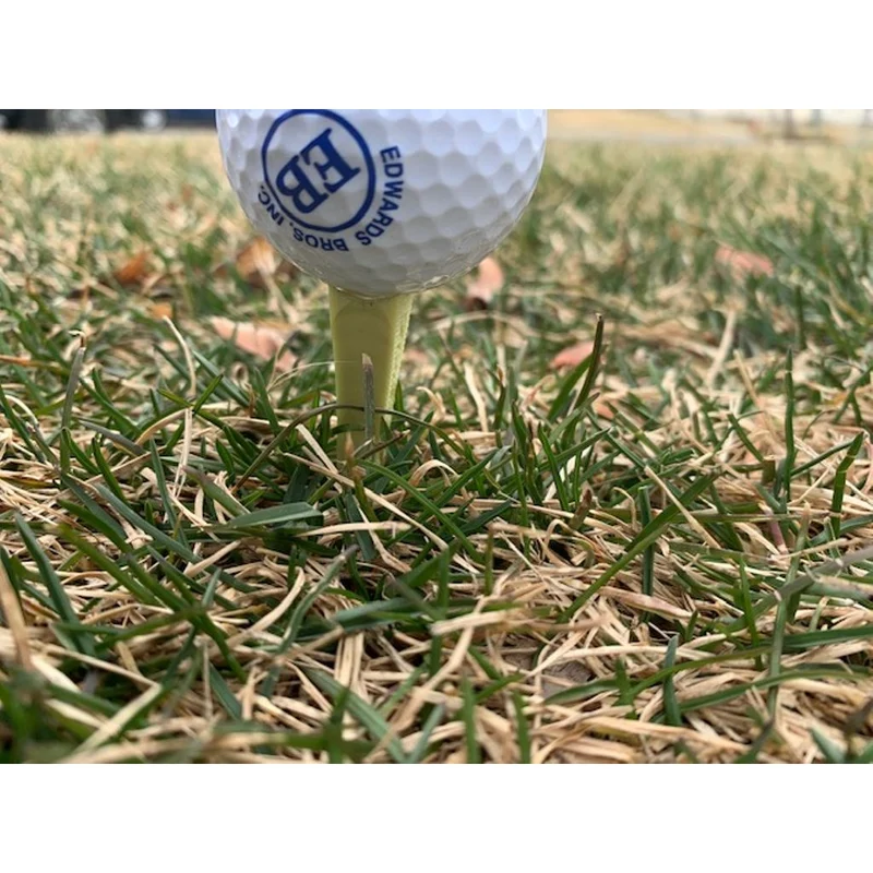 Tee de golf Holdbar pour un support de balle stable