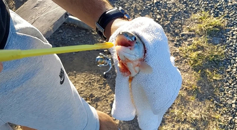 Extracteur d'hameçons efficace pour une pêche sportive sécurisée
