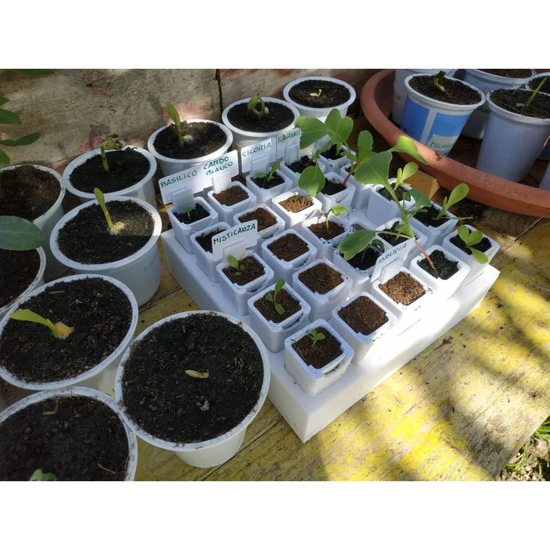 Plateau de semis compact avec pots et outils de semis