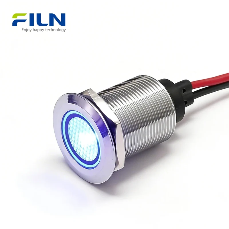 Panel Mount LED 19mm Metal Flat Head with 15cm Wire Lead 12V 110V 220V FILN
