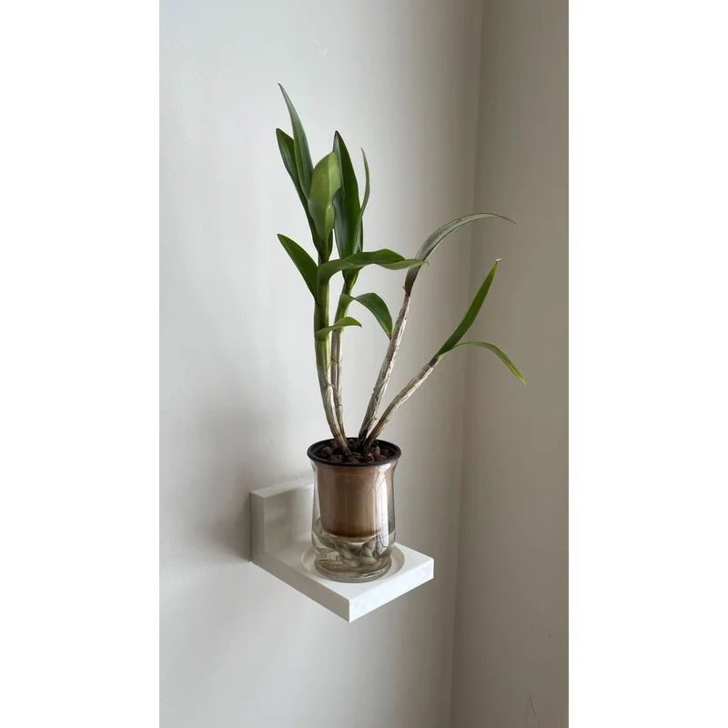 Étagère murale flottante pour petites plantes et pots