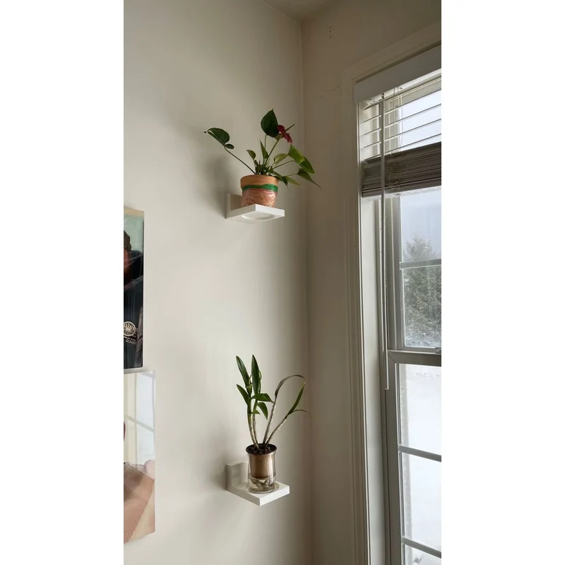 Étagère murale flottante pour petites plantes et pots