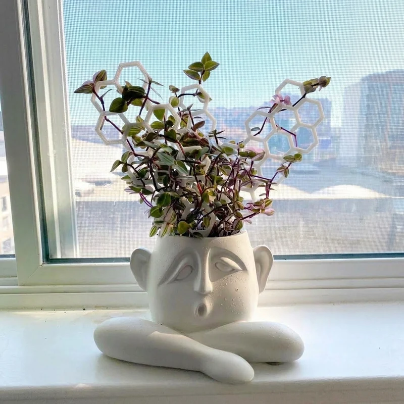Tuteur treillis en trois parties pour plantes d'intérieur grimpantes