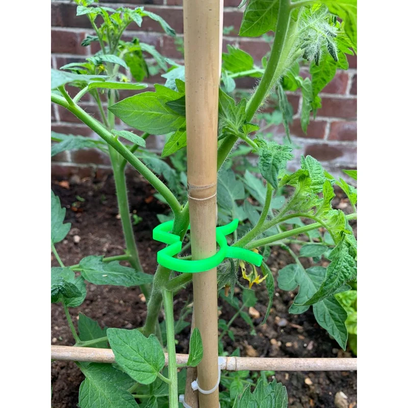 Pince à plantes pratique pour l'attache en serre