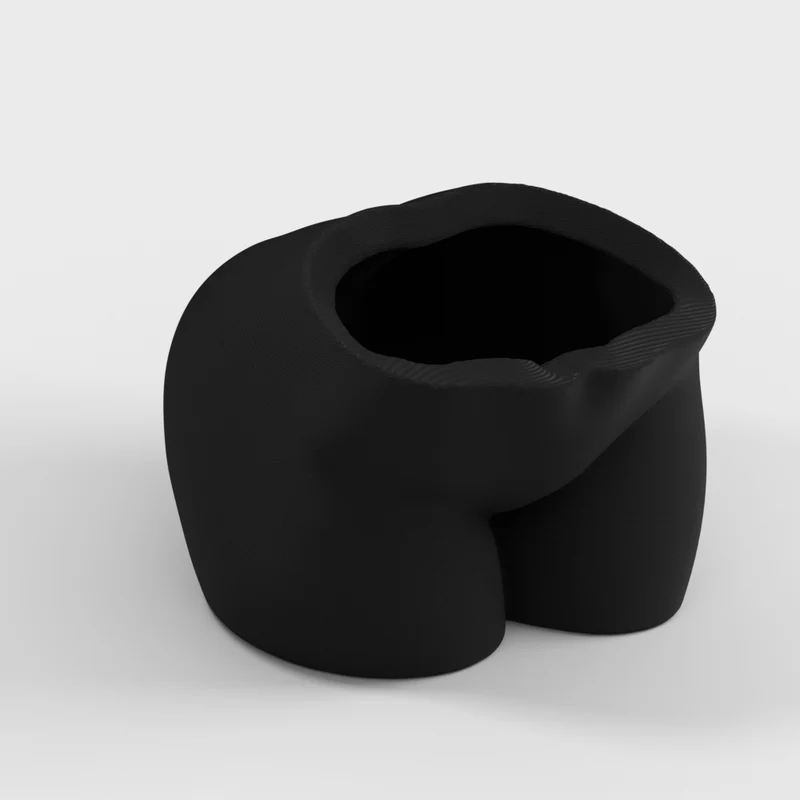 Cache-pot pour plantes grasses en forme de fesses