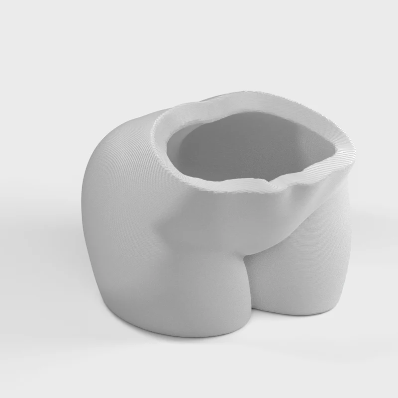 Cache-pot pour plantes grasses en forme de fesses