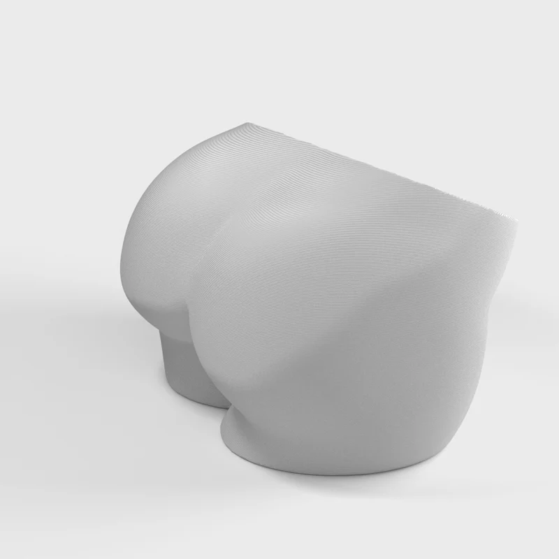 Cache-pot pour plantes grasses en forme de fesses