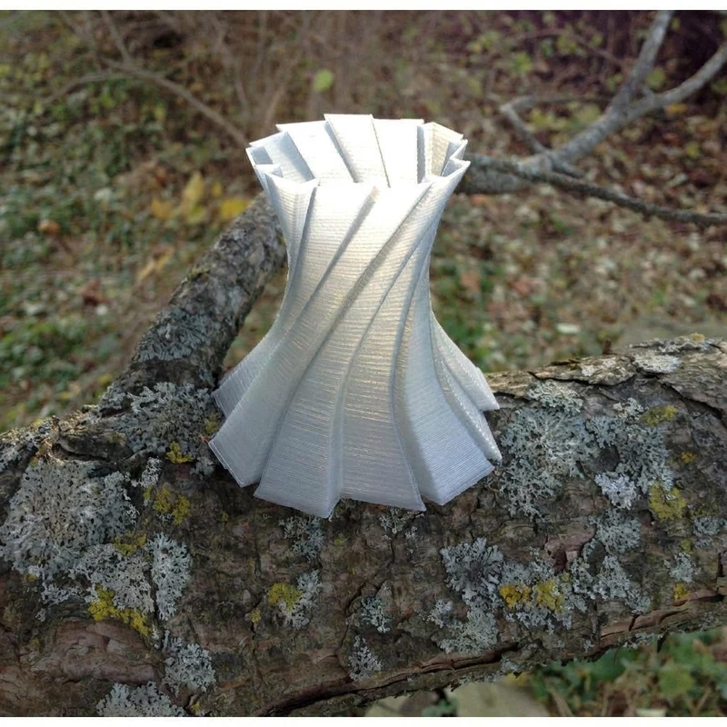 Vase moderne freeform pour décoration intérieure