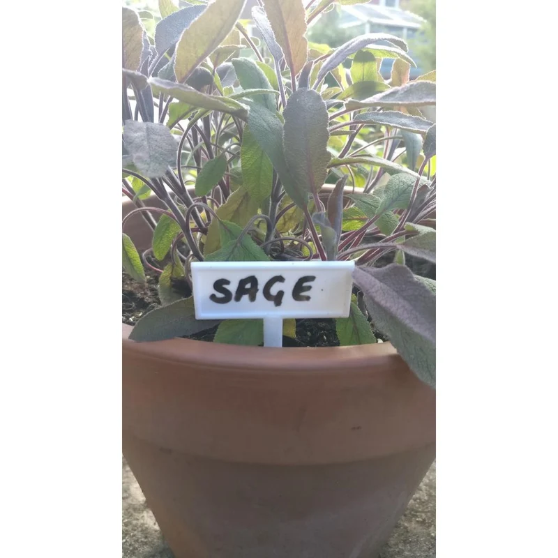 Étiquette de plantation pratique pour pots d'herbes et jardin