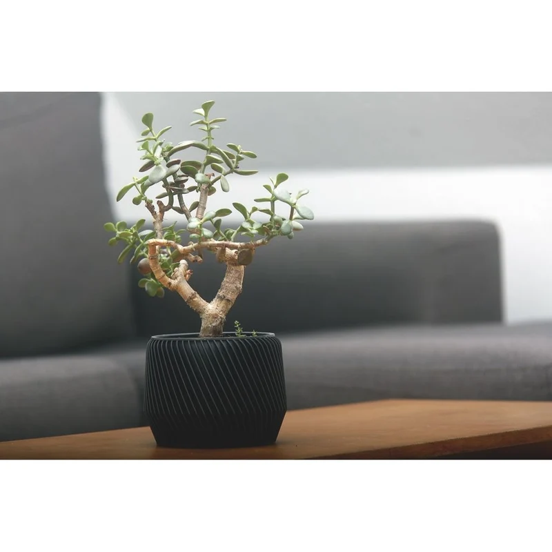 Cache-pot en spirale géométrique pour plantes d'intérieur