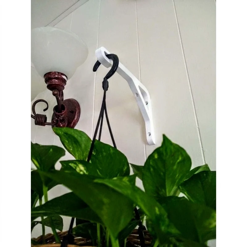 Support mural pour plantes suspendues