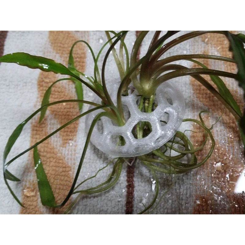 Supports et fixations pour plantes d'aquarium