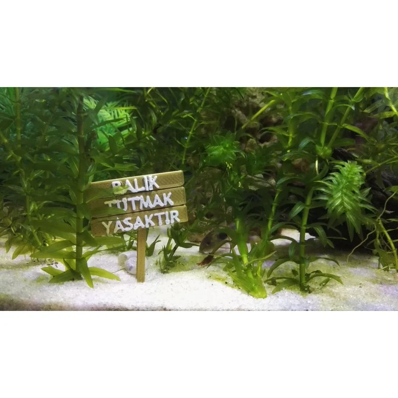 Panneau décoratif "No Fishing" pour aquariums