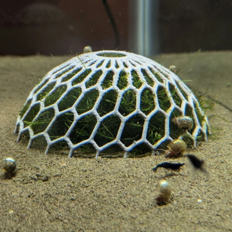 Couple de mousse et support de plantes pour aquariums d'eau douce