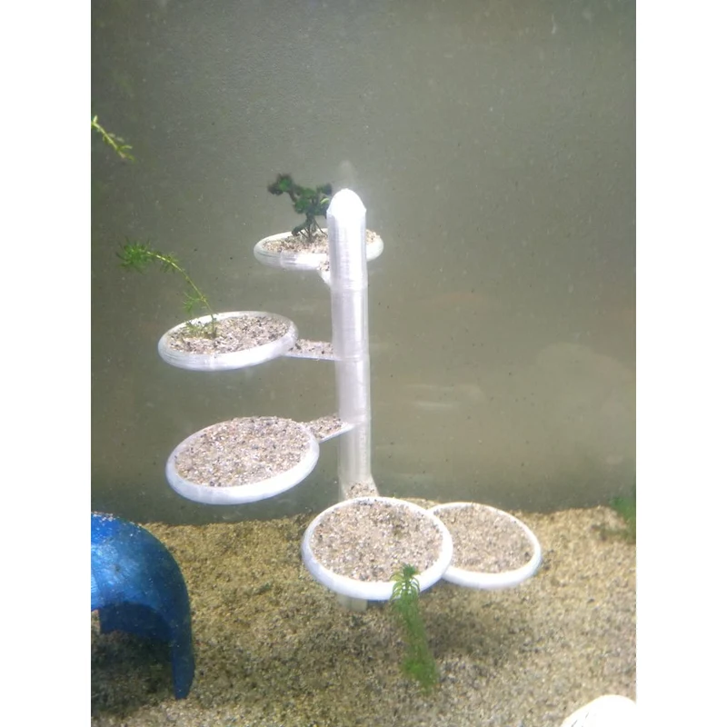 Plateforme rotative graduée pour plantes d'aquarium vivantes