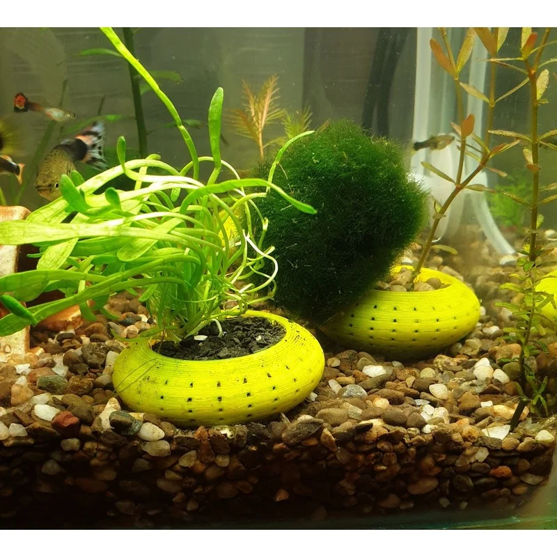 Pot de fleurs pratique pour plantes aquatiques d'aquarium