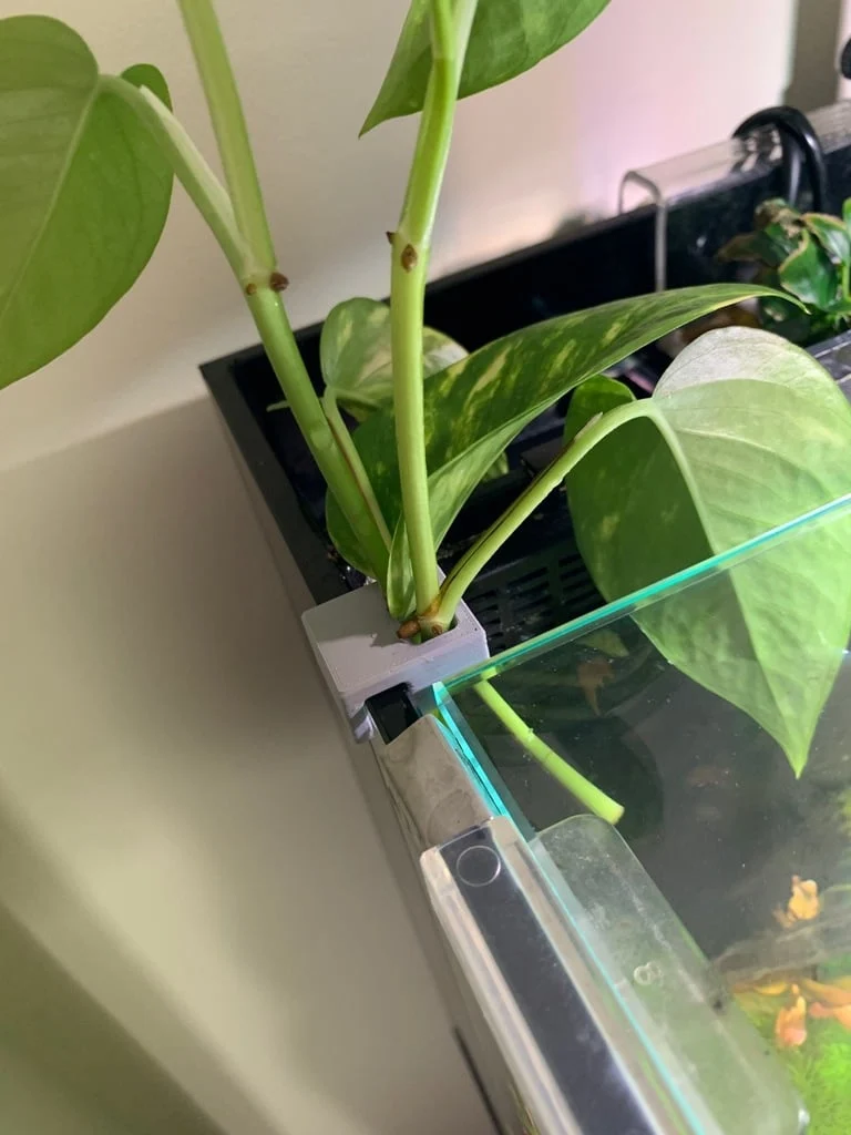 Pince porte-plante pour aquariums sans cadre