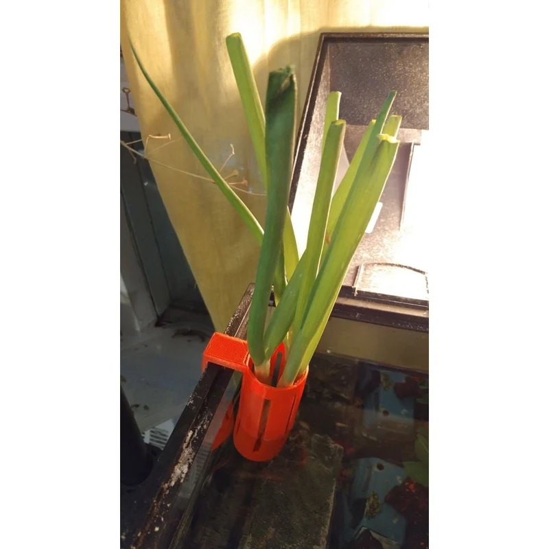 Support de plante hydroponique pour le bord des aquariums