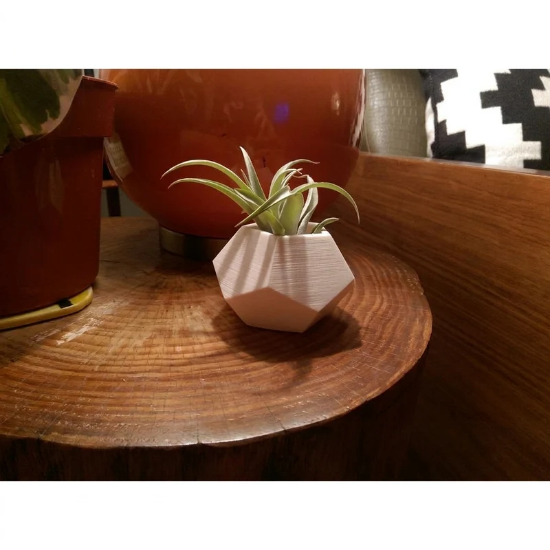 Petit cache-pot géométrique en forme de dodécaèdre