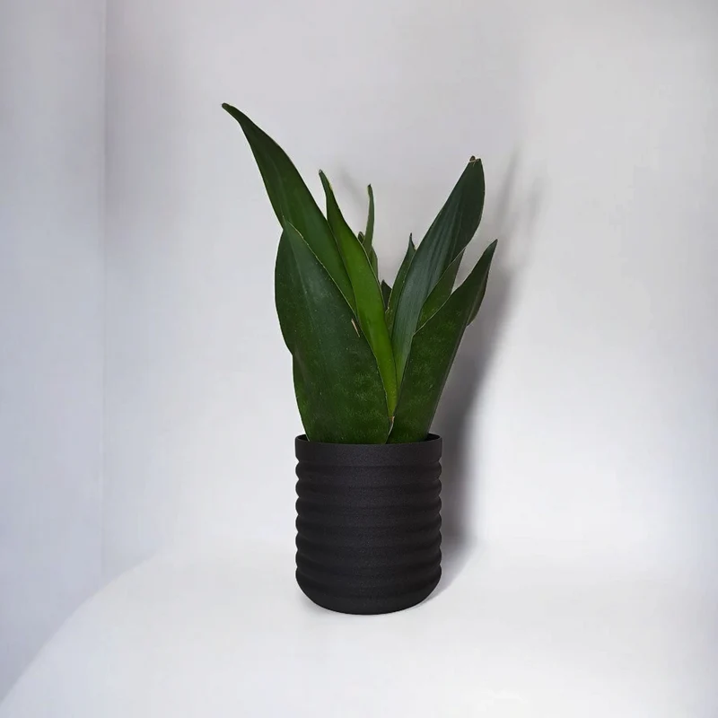 Vase moderne RippleBloom au design ondulé