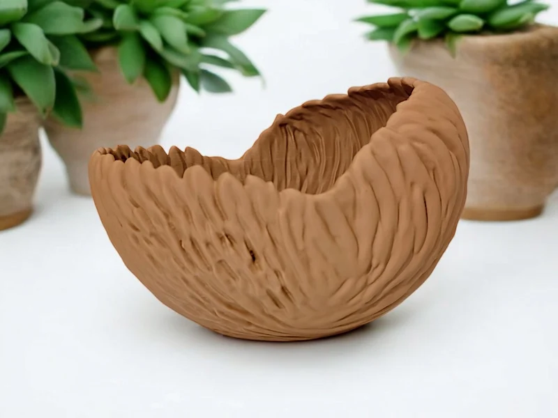 Bol décoratif aux formes organiques pour la maison