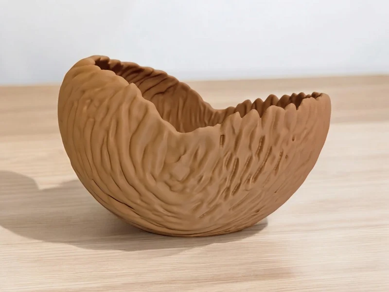 Bol décoratif aux formes organiques pour la maison