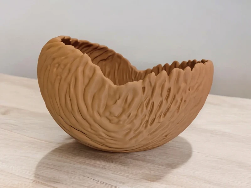 Bol décoratif aux formes organiques pour la maison