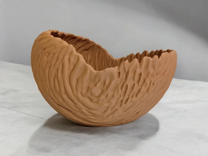 Bol décoratif aux formes organiques pour la maison