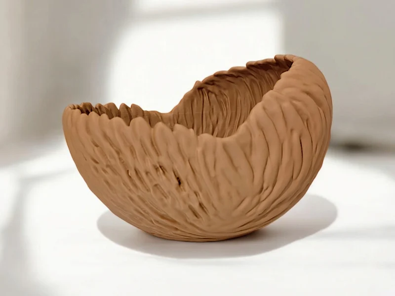 Bol décoratif aux formes organiques pour la maison