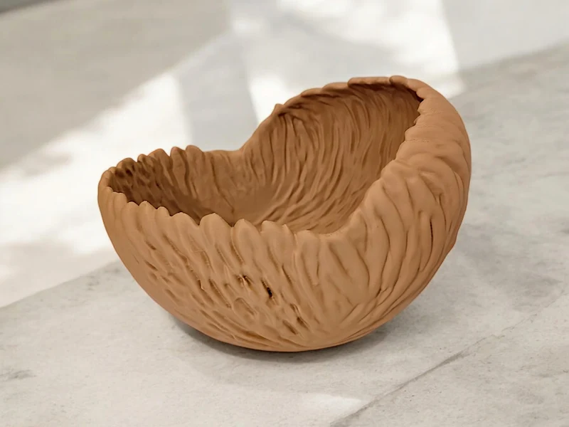 Bol décoratif aux formes organiques pour la maison