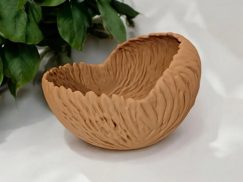 Bol décoratif aux formes organiques pour la maison
