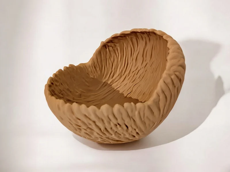 Bol décoratif aux formes organiques pour la maison