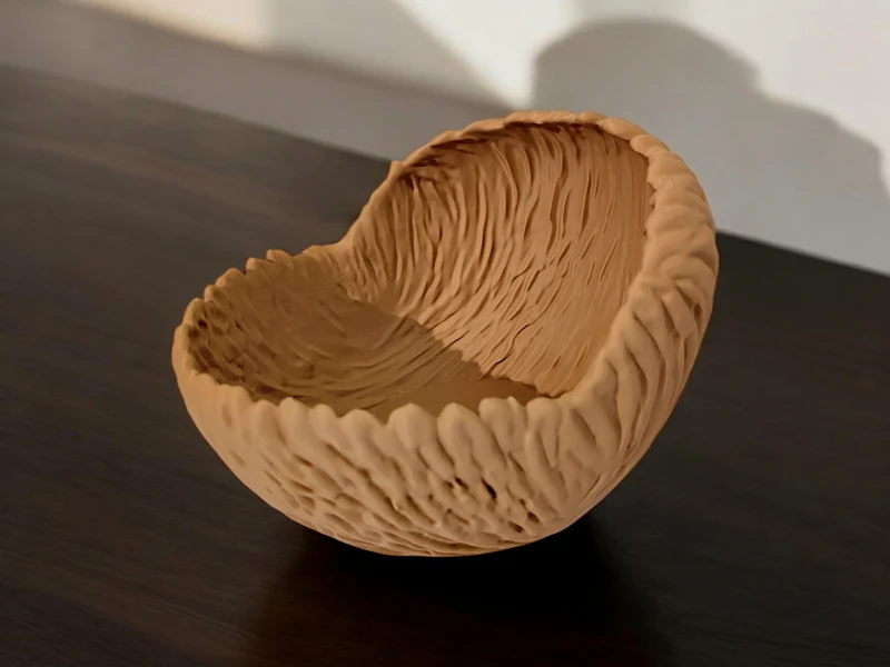 Bol décoratif aux formes organiques pour la maison
