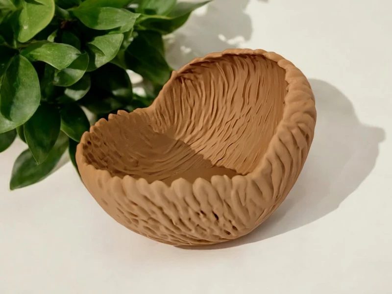 Bol décoratif aux formes organiques pour la maison