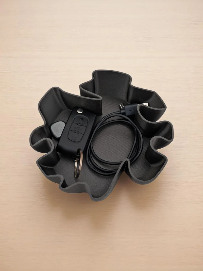 Coupe vide-poche au design organique moderne