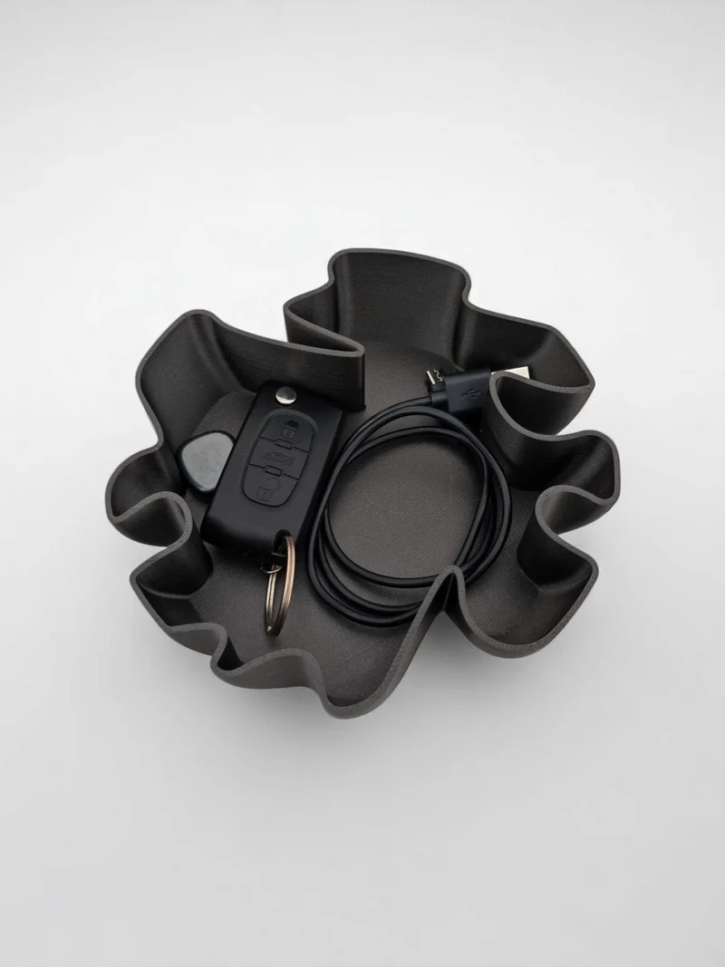 Coupe vide-poche au design organique moderne
